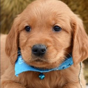 Meet your Posher, Parker